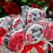 Aniversário de Josiane Schramm