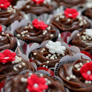 Aniversário de Josiane Schramm