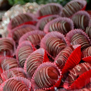 Aniversário de Josiane Schramm