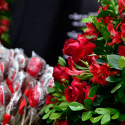 Aniversário de Josiane Schramm