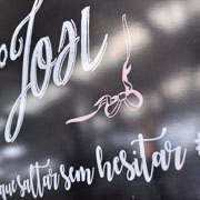 Aniversário de Josiane Schramm