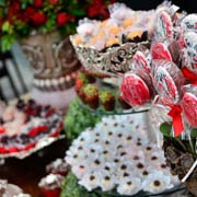 Aniversário de Josiane Schramm